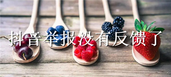 抖音举报没有反馈了