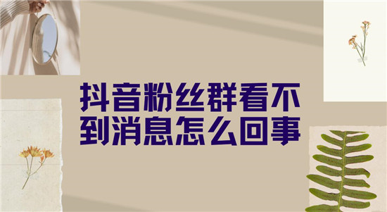 抖音粉丝群看不到消息怎么回事