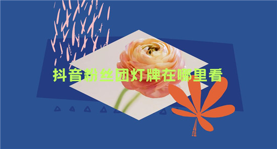 抖音粉丝团灯牌在哪里看