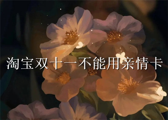 淘宝双十一不能用亲情卡