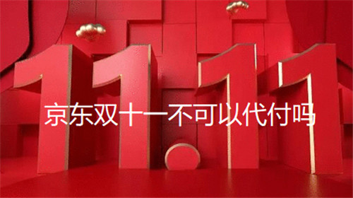 京东双十一不可以代付吗
