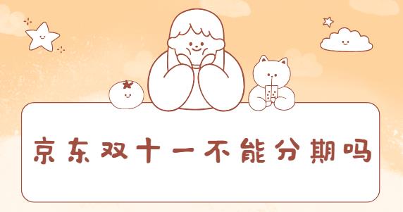 京东双十一不能分期吗