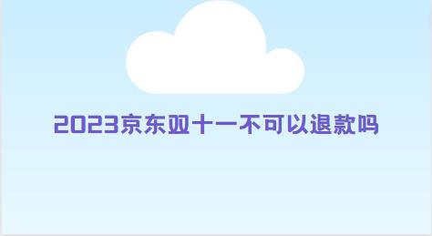 2023京东双十一不可以退款吗
