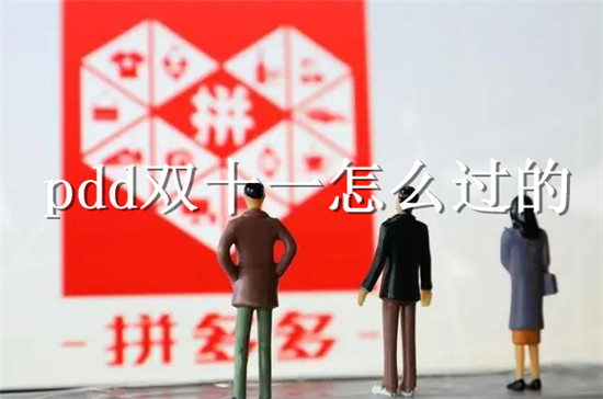 pdd双十一怎么过的