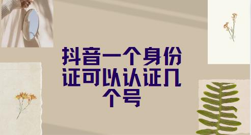 抖音一个身份证可以认证几个号
