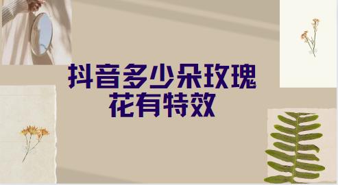 抖音多少朵玫瑰花有特效
