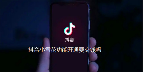 抖音小雪花功能开通要交钱吗