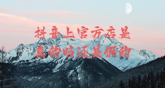 抖音上官方店是真的吗还是假的