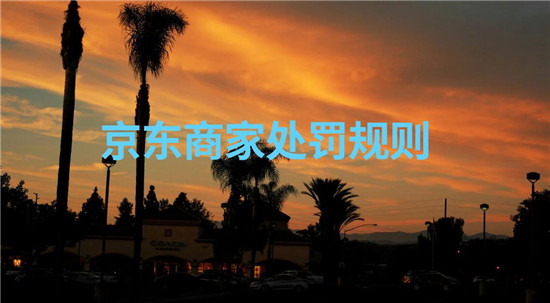 京东商家处罚规则