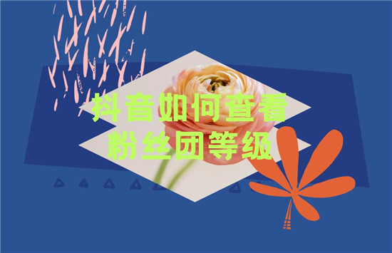 抖音如何查看粉丝团等级