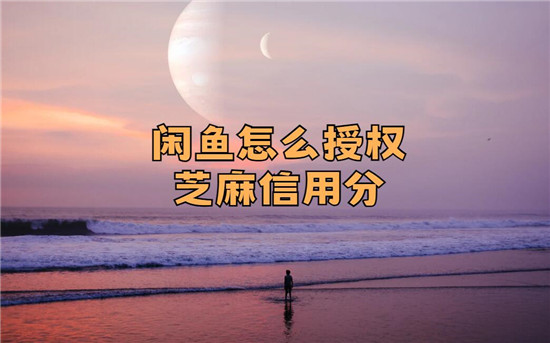 闲鱼怎么授权芝麻信用分