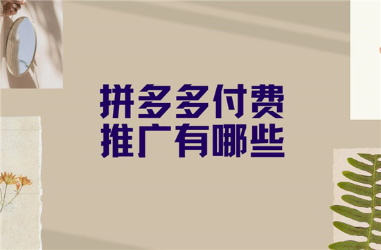 拼多多付费推广有哪些