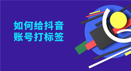 抖音账号标签打造：精准定位与内容策略全解析 (抖音账号标签是生活随拍是什么意思)-初仟社区