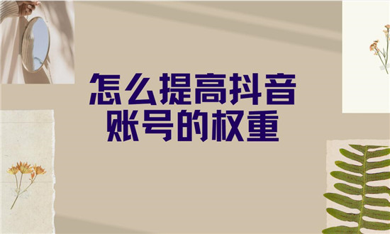 提升账号权重 (提升账号权重有什么用)-初仟社区