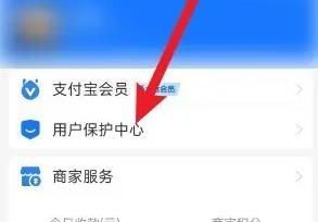 怎么设置支付宝大额保护