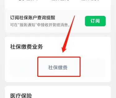 孩子交医疗保险网上缴费如何查看