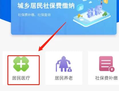 孩子交医疗保险网上缴费如何查看