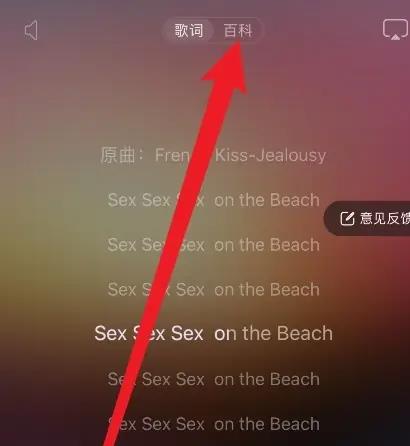 网易云怎么看一首歌曲播放了多少遍