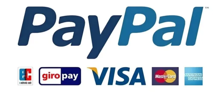 2026特货独立站最稳的收款黑科技都有哪些 2026特货独立站最稳的5种收款黑科技