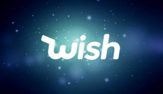 wish标签该怎么写 wish标签填写小技巧详解