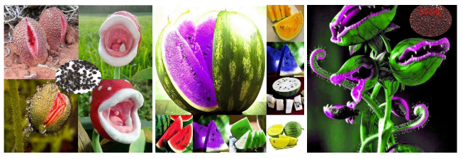 Wish如何判定虚假广告 Wish虚假广告判定标准